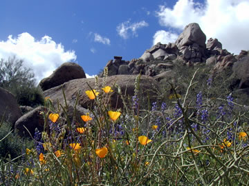 AZ Red Lodge Longhouse - ceremony in nature